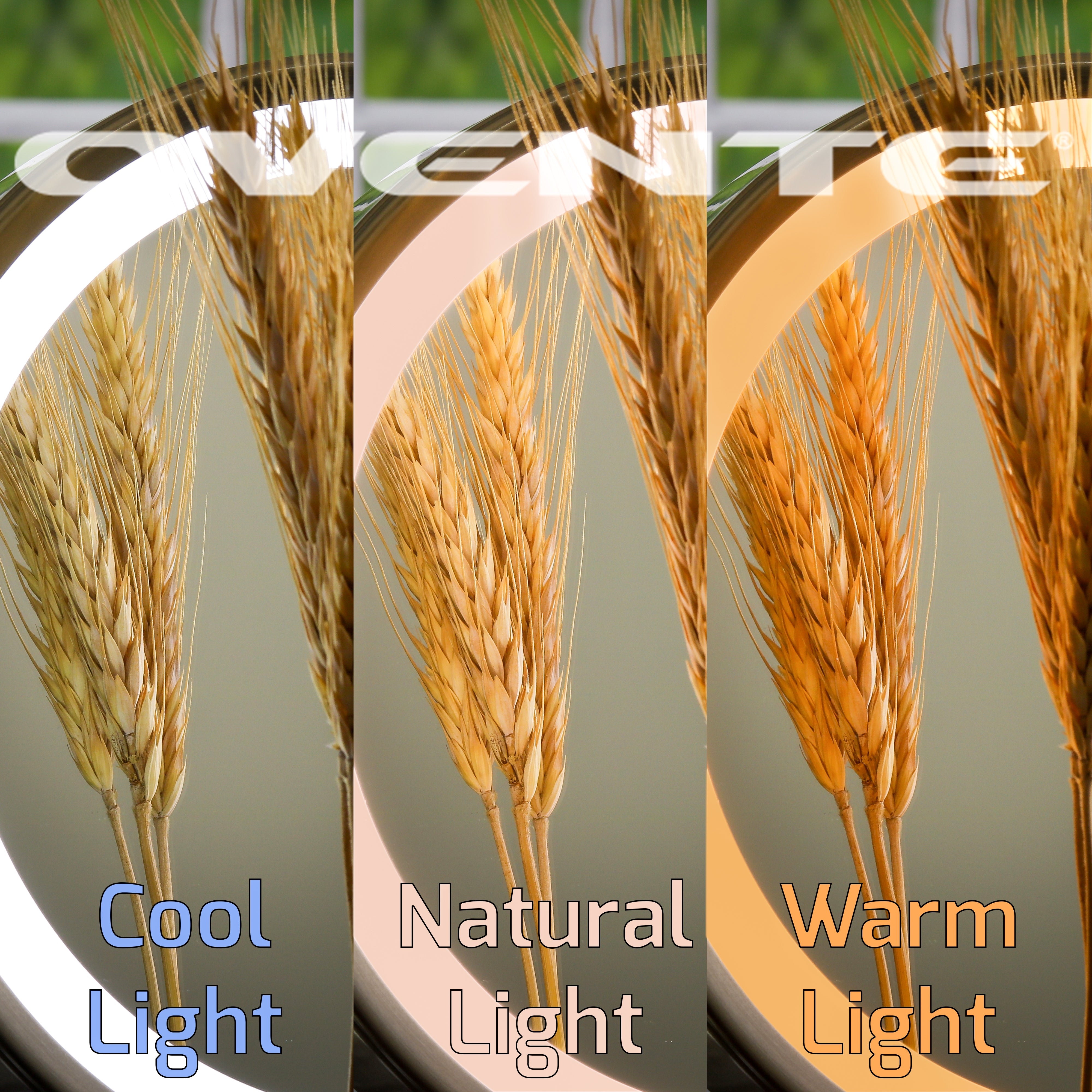 Ovente 5.1” 3-Way Double Sided Vanity Mirror with 3-Tone LED Light MFM70 Series