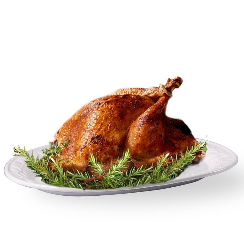 Ovente 22 lb Ceramic Turkey Serving Platter P4565W