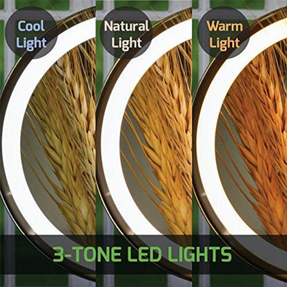 LED Lighted Tabletop Vanity Mirror