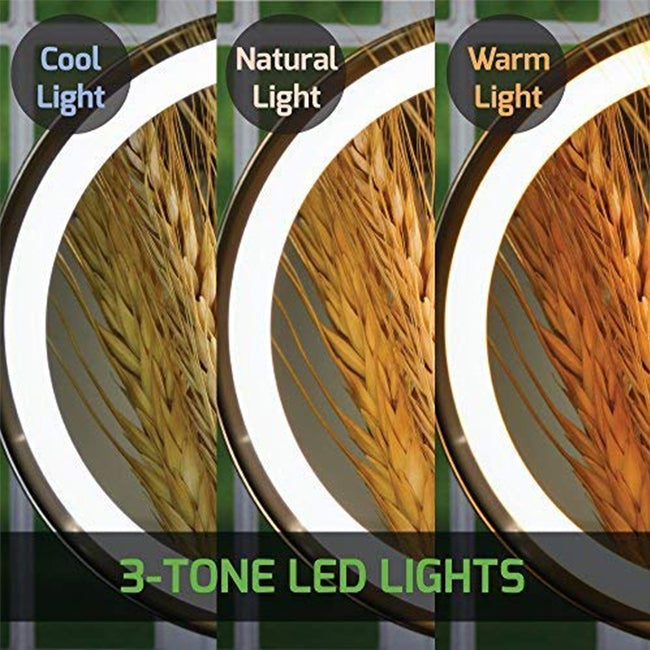 LED Lighted Tabletop Vanity Mirror