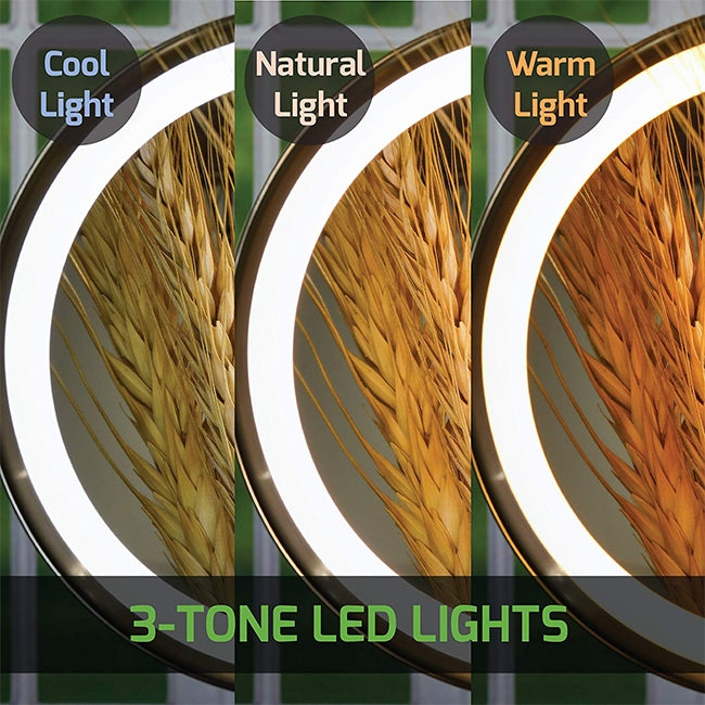 LED Lighted Tabletop Vanity Mirror